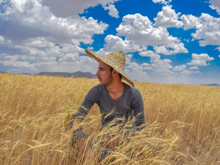 Boaz trusted God and His will for his life. A man wearing a straw hat sits in a grain field under a blue sky dotted with clouds.