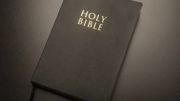 The Bible is our only reliable source of divine revelation and truth, and the Trinity concept simply is not part of God’s revelation to humankind. A Bible.